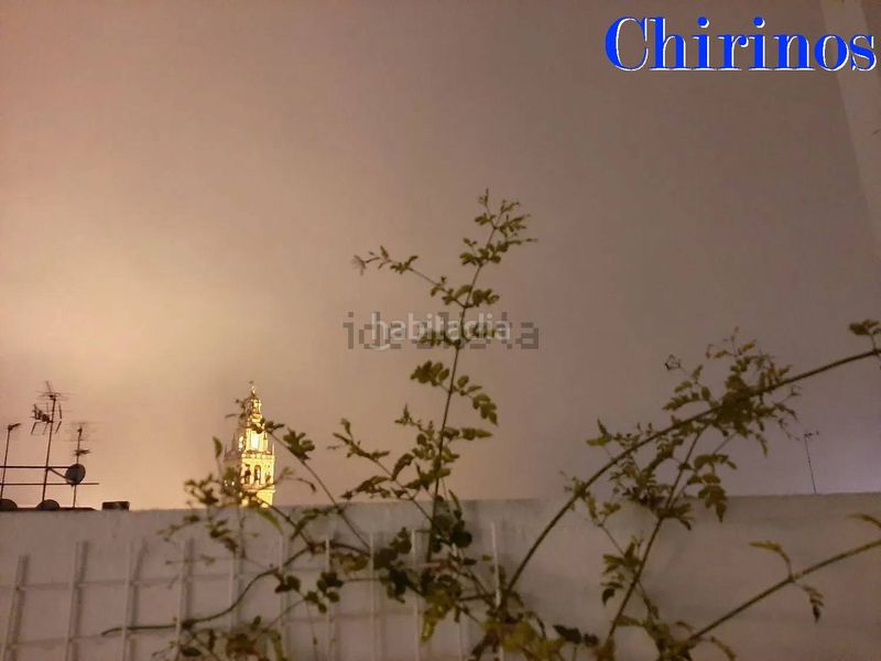 Foto 7e848300-c3b1-4037-a2f2-107340f7eec7. Àtic a Centro Córdoba