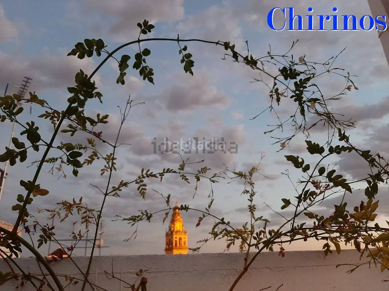 Foto f0504349-2f00-4f36-a902-6720002b2d75. Àtic a Centro Córdoba