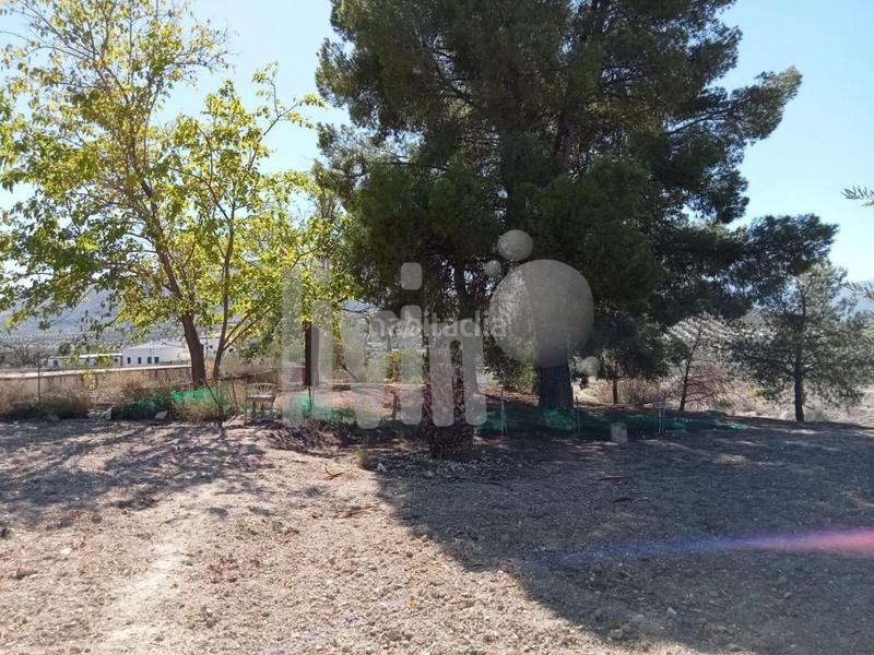 Foto 2f661129-0871-4d02-8a6e-5ca7def33c84. Fondo rustico in Puente Tablas - Puente Nuevo - Cerro Molina Jaén