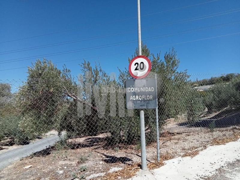 Foto 515bcd7b-e230-43a1-97f6-c6e5ac12f0fd. Fondo rustico in Puente Tablas - Puente Nuevo - Cerro Molina Jaén