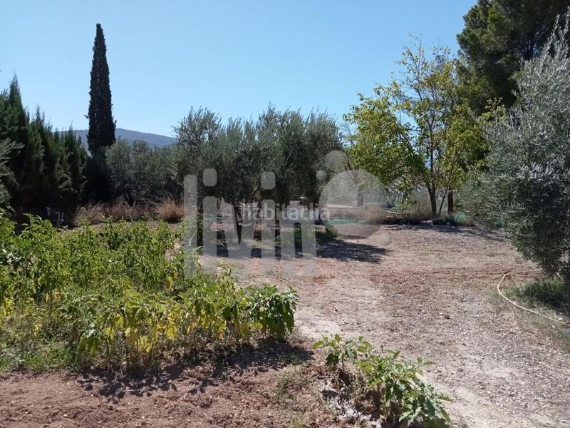 Foto c91f30f6-1135-443c-b504-bec884370ec3. Fondo rustico in Puente Tablas - Puente Nuevo - Cerro Molina Jaén