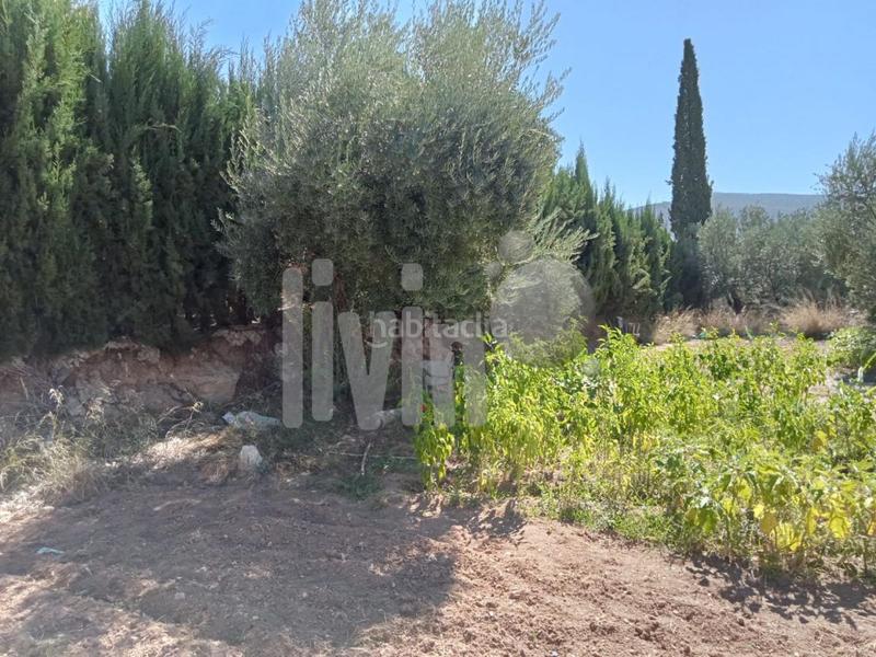 Foto c45e36f6-a2fc-4fc4-b994-1ec5f735dc0f. Finca rústica a Puente Tablas - Puente Nuevo - Cerro Molina Jaén