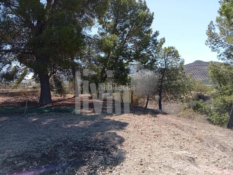 Foto c76699d2-2b77-45da-b969-e22fab18c697. Finca rústica a Puente Tablas - Puente Nuevo - Cerro Molina Jaén