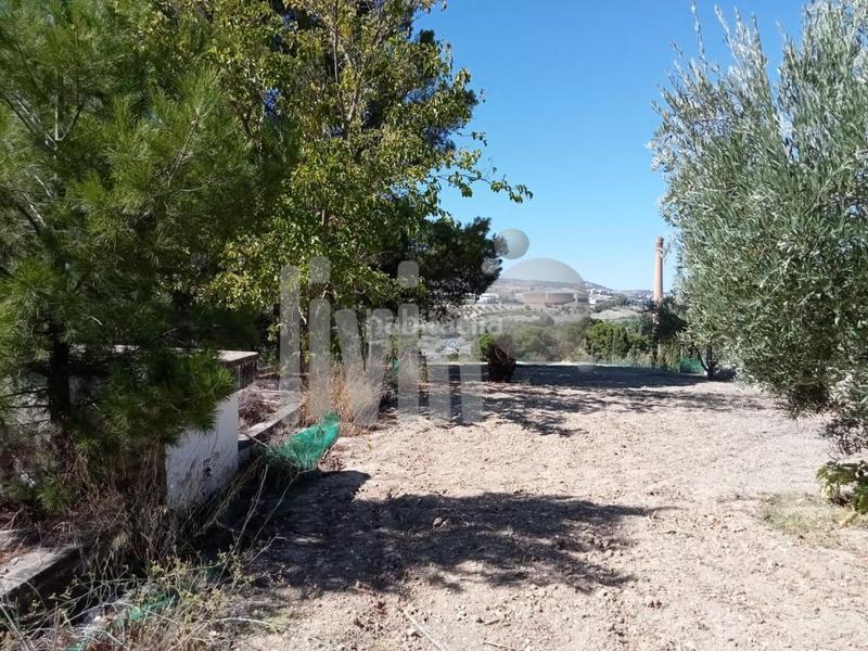 Foto 85defffc-c6c8-4a77-a72c-c90eea8574ab. Finca rústica en Puente Tablas - Puente Nuevo - Cerro Molina Jaén