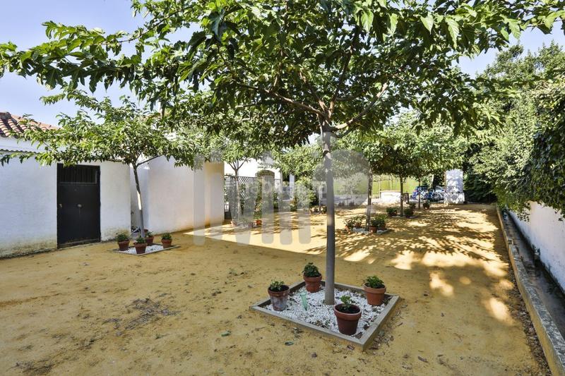 Foto f2b0ffe4-104c-4b4d-846d-1fe3dc560dd4. Casa con piscina in Puente Jontoya - Puente de la Sierra - El Arroyo Jaén