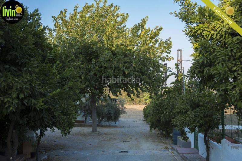 Foto 4ae8a0af-d38b-4df7-8a06-35e8cd0ba6a2. Maison dans Puente Tablas - Puente Nuevo - Cerro Molina Jaén