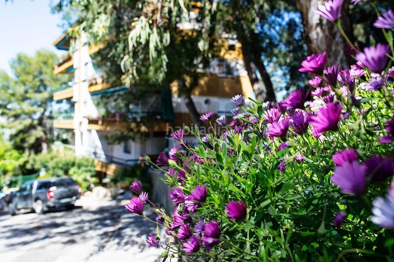 Foto 3c1275ea-eff6-4162-93a5-a9a5d85cb592. Flat with pool in Puente Tablas - Puente Nuevo - Cerro Molina Jaén