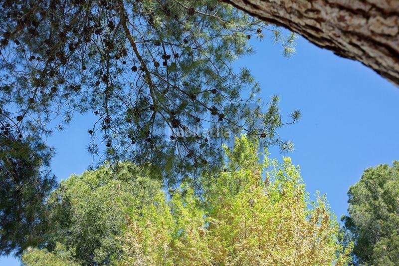 Foto 9af41c89-8044-40c9-ac58-24665b00f9d5. Flat with pool in Puente Tablas - Puente Nuevo - Cerro Molina Jaén