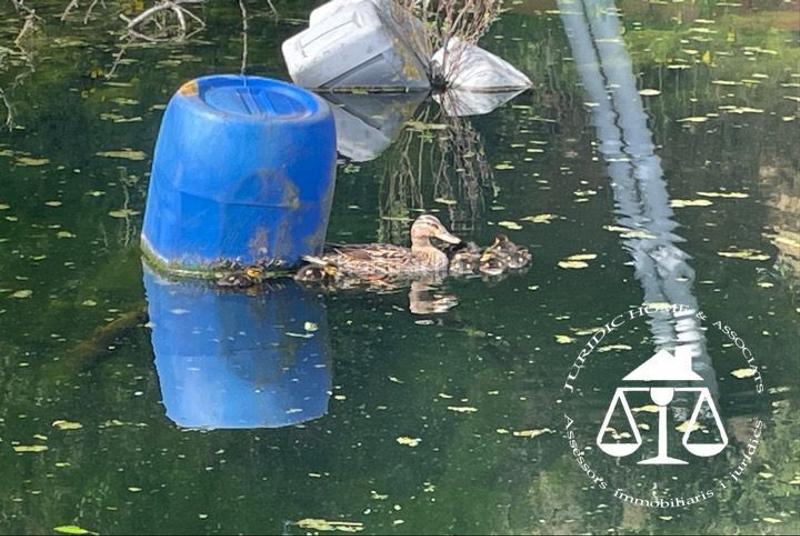 Foto f31a786c-f05f-43d1-a6f7-d55feca0b80d. Haus mit heizung pool in Arenys de Munt