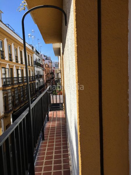 Foto 341a91e6-6dce-4af3-b15b-0ef31ac9056b. Rent flat in Alfalfa - Santa Cruz Sevilla