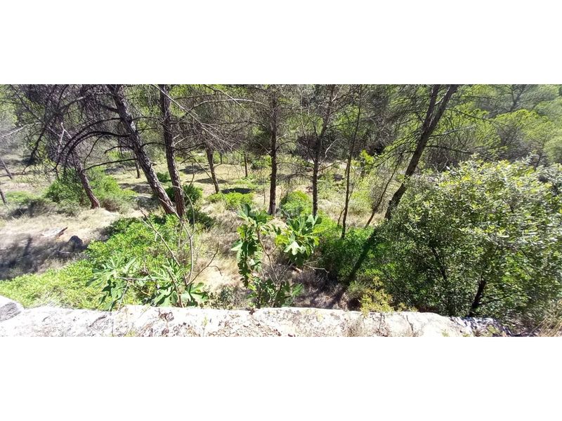 Foto 3656d153-3d74-4b56-a26c-9baa743c58a4. Wohngrundstück in Castellnou de Bages