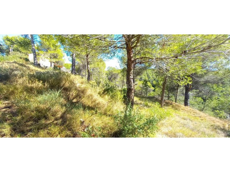 Foto 4fb0dac2-b62d-49a5-aedf-5d7abc0224df. Wohngrundstück in Castellnou de Bages