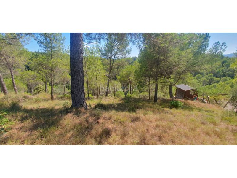 Foto b88222d3-5f24-4f22-bd3a-041d2c2d1952. Wohngrundstück in Castellnou de Bages