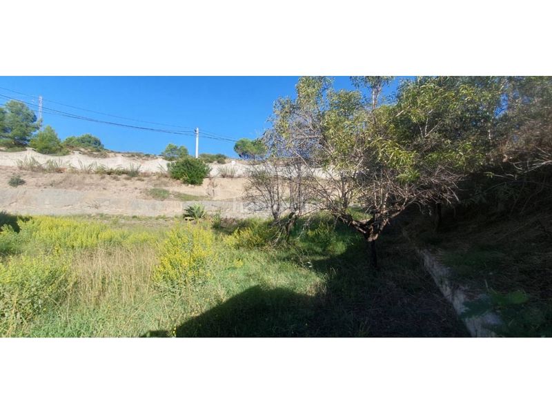Foto 92477608-52ac-41b5-9e73-0b50c315a87a. Terreno residencial en calle general moragues 2 venta de terreno en Sant Vicenç de Castellet