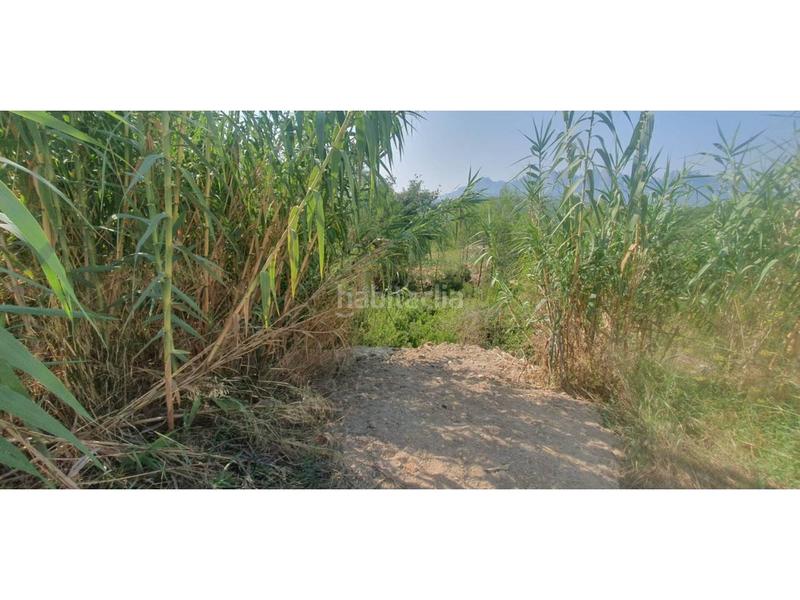 Foto 94e37c08-3da7-48a8-848d-bec5295a68b7. Terrain résidentiel dans josep plá 93 dans Castellgalí