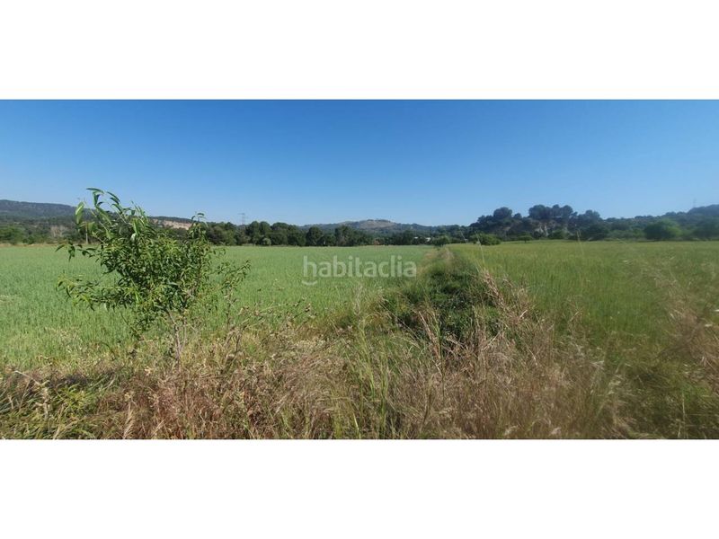Foto a2372c88-09dd-4cd5-94a4-733a10aeef8f. Finca rústica a calle poligono 4 a Castellgalí