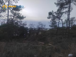 Terreny residencial a Sabina 122. Excelente parcela a la venta en pinares de lepe