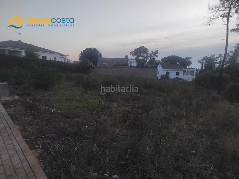 Foto 77f3520a-85c8-43af-990a-8a6aefde9593. Terrain résidentiel dans sabina 122 dans Lepe