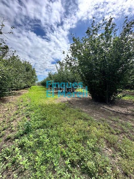 Foto 02b680f8-2714-490c-b07a-a83b82c649aa. Masía en n/a finca rúst. en venta . en Vilallonga del Camp