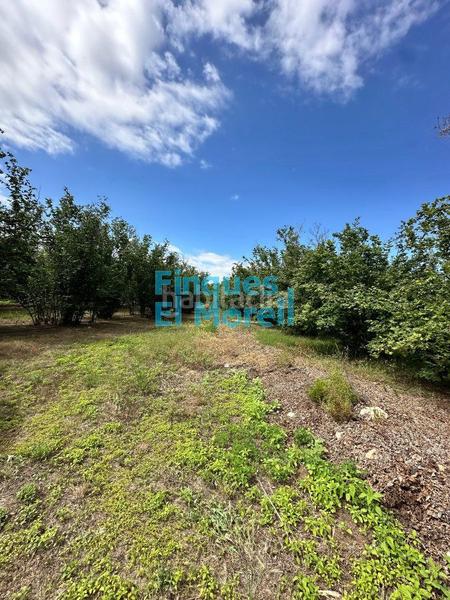 Foto 03a85308-a0b6-4066-812a-6cfabf3537b3. Masía en n/a finca rúst. en venta . en Vilallonga del Camp