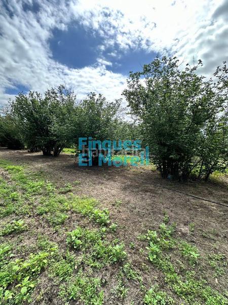 Foto 30581476-2ec0-40dd-b7fa-3abfdb1a05fe. Masía en n/a finca rúst. en venta . en Vilallonga del Camp