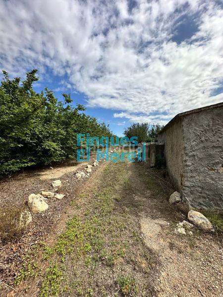 Foto 4137f5d2-7157-4ebe-bc81-cd5a99a67ffd. Masía en n/a finca rúst. en venta . en Vilallonga del Camp