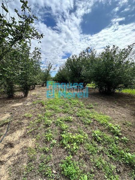 Foto 7d1a7cde-58d2-4f3f-b507-6f8b584902c8. Masía en n/a finca rúst. en venta . en Vilallonga del Camp