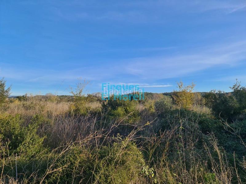 Foto 59dd6e6a-c333-47f3-b4ee-fb479c1d065e. Masía finca rúst. en venta en rourell el. en Rourell (El)