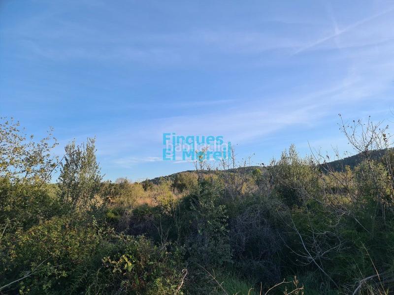 Foto 6ad7a6e2-bafe-4d1f-94bd-2cfddf5a24a1. Masía finca rúst. en venta en rourell el. en Rourell (El)