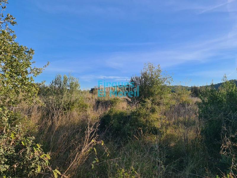 Foto a87d2c9c-d9f3-4bf2-94f3-e551f80450bf. Masía finca rúst. en venta en rourell el. en Rourell (El)