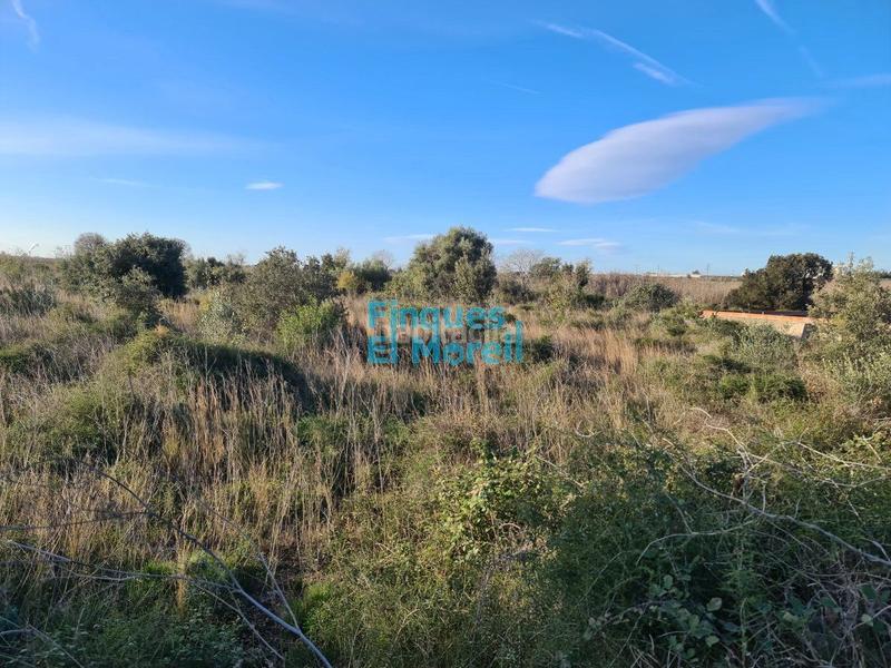 Foto dc29f9db-f73c-4ceb-8487-8b6b4ffe7317. Masía finca rúst. en venta en rourell el. en Rourell (El)