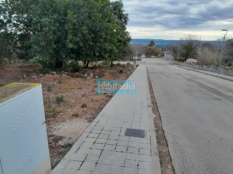 Foto 0fb2445f-9641-4bc4-9a5c-159e1fc1cd0d. Residential plot in Alcover