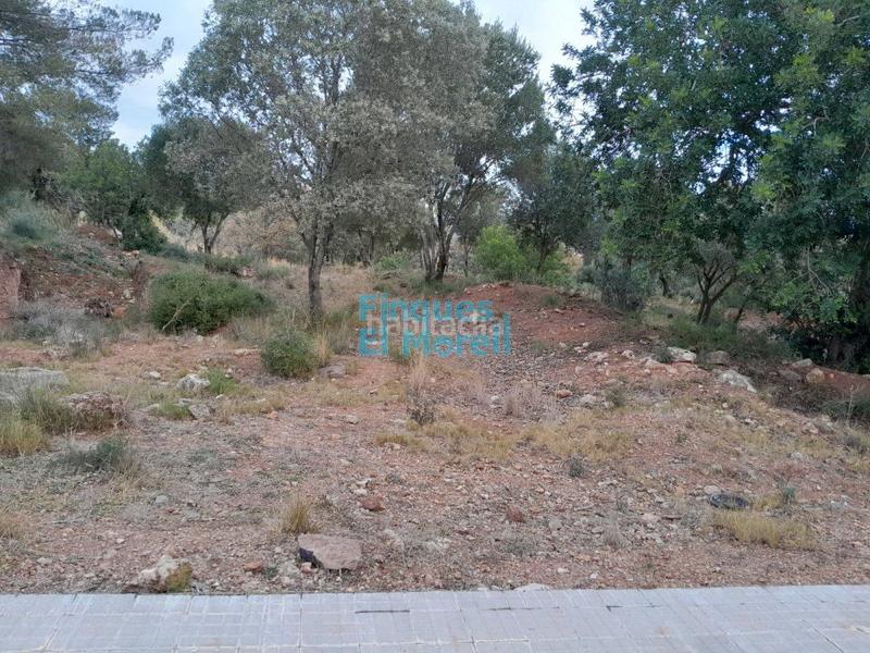 Foto 74a43998-5d68-47c7-82ca-0d8f5b2eddc7. Residential plot in Alcover