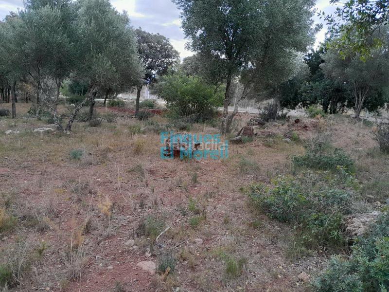 Foto a2e3bf8a-be86-4325-94e1-e655b6357909. Residential plot in Alcover