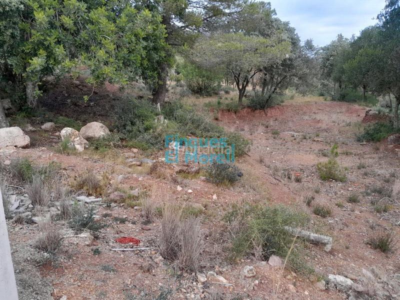 Foto bef81e4e-3648-456e-8b85-a0c73b747d4c. Residential plot in Alcover