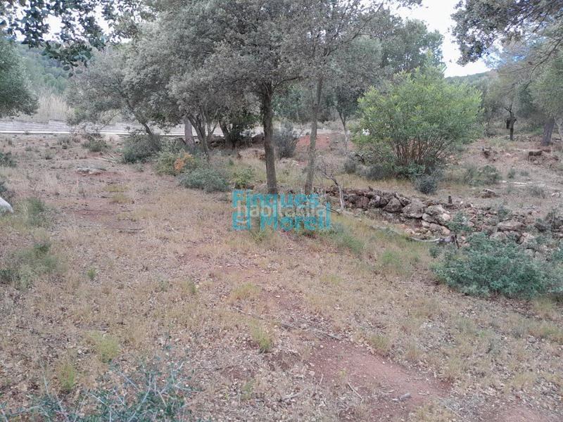 Foto e597a86c-6684-4cce-82b6-cd17d5b83c83. Residential plot in Alcover