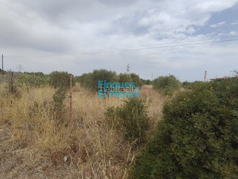 Foto 0a31efbe-94a5-49f6-838e-80410c394319. Masia a Constantí