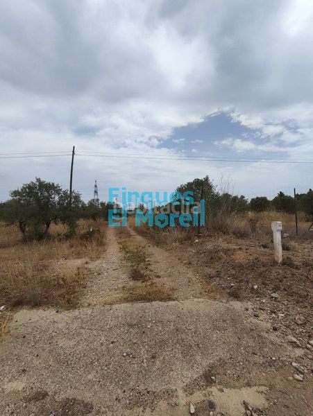 Foto a07089c0-daea-4c34-a72e-a18bab16288f. Masia a Constantí