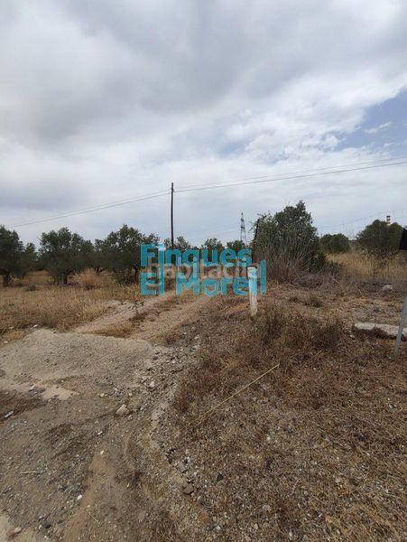 Foto baf0e990-e3c8-4e3f-9532-246a188e6b78. Masia a Constantí