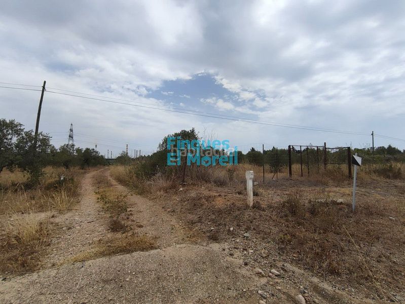Foto d561533e-a43f-42ce-bfde-bda1a8a8d52b. Masia a Constantí