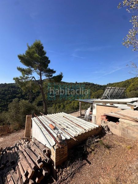 Foto 1ebd5928-9279-45c0-8086-062bfcf776b8. Masia a Albiol (L´)