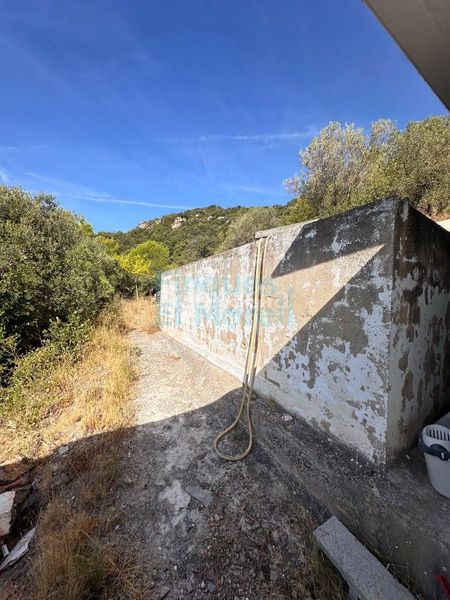 Foto 2d581616-e0c3-4909-8973-fce37f342777. Masia a Albiol (L´)