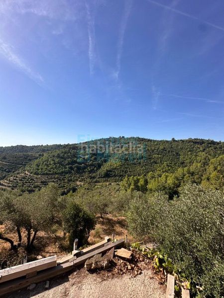 Foto 3243276f-9e90-41c1-a302-edbc2cb28311. Masia a Albiol (L´)
