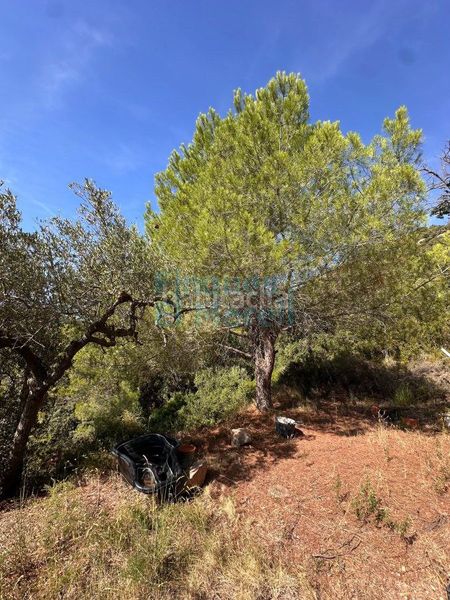 Foto 3d035e8b-57ae-4a42-a9ae-01a5e03cacd2. Masia a Albiol (L´)