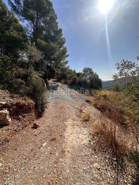 Foto 5909de6e-dc4e-40d9-a4f2-3206495be8b0. Masia a Albiol (L´)