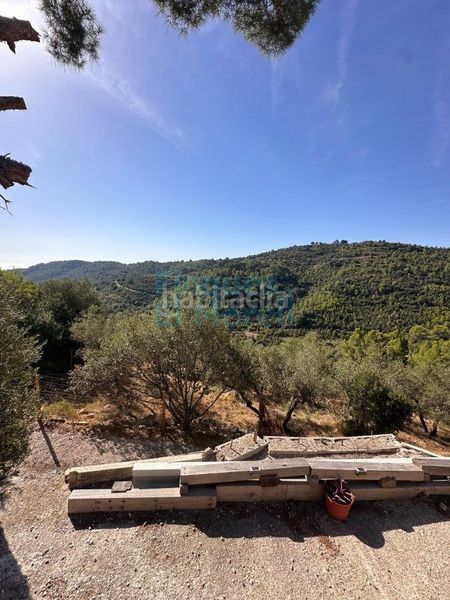 Foto 59a5e727-6b69-4265-bc48-c8b1086cdcff. Masia a Albiol (L´)