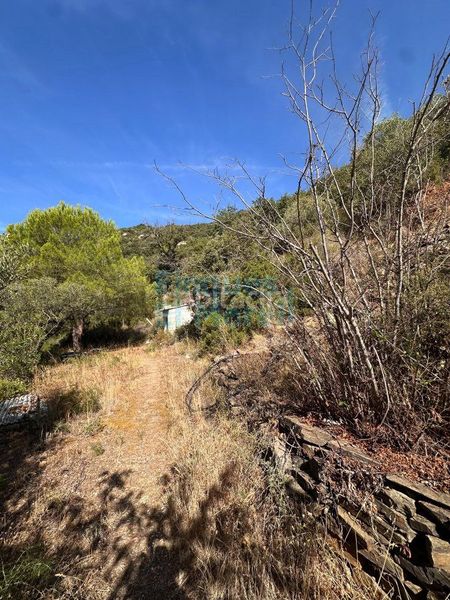 Foto 5f1d8520-283c-43f6-9934-6d482ce8885e. Masia a Albiol (L´)
