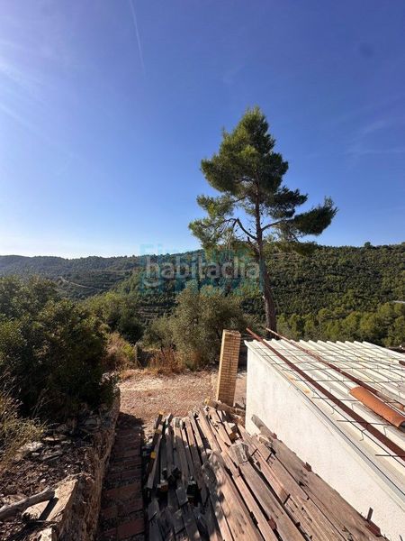 Foto 6a36da4a-4171-4d0f-b58c-bf0122106246. Masia a Albiol (L´)