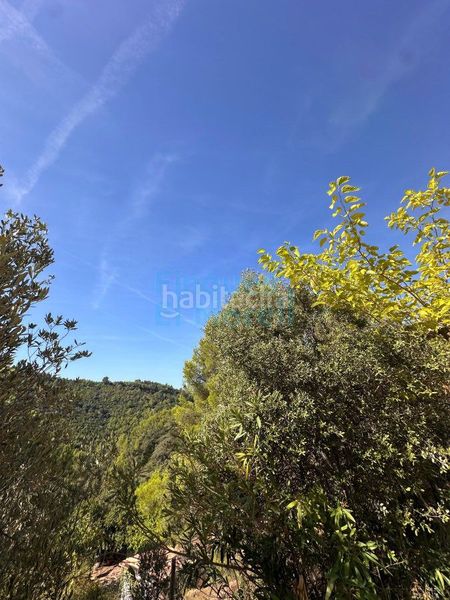 Foto 70b3db89-fe55-48ef-a811-dd1bd2cd460c. Masia a Albiol (L´)