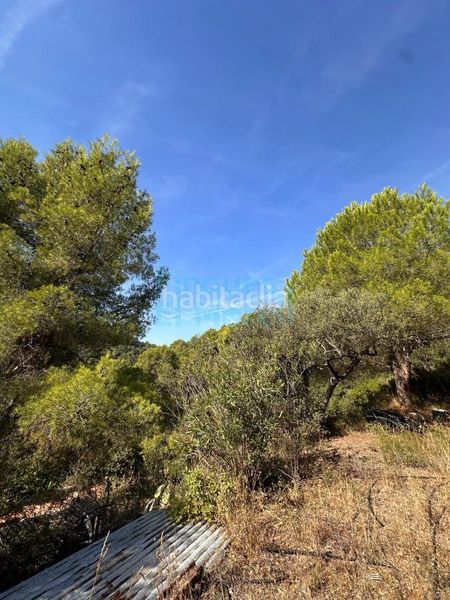 Foto 75f4bc93-a45d-490e-bae4-6365b200079b. Masia a Albiol (L´)